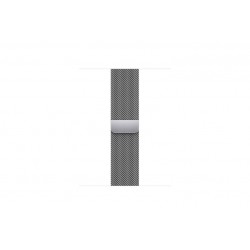 41MM SILVER MILANESE LOOP